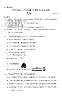 内蒙古赤峰市2026届高三上学期11·20模拟考试 化学 Word版含答案