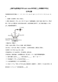 上海市杨浦高级中学2025-2026学年高三上学期期中考试化学试卷（含答案）
