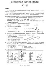2026届四川省泸州市高三上学期高考一模化学试题（含答案）