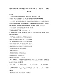河南省南阳市九师联盟2025-2026学年高二上学期11月期中考试化学试卷（学生版）