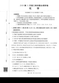 广西部分学校2026届高三上学期11月联合调研考试化学试卷（PDF版附答案）