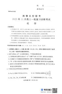 湘豫名校联考2025-2026学年高三上学期11月一轮复习诊断考试化学试卷（PDF版附解析）