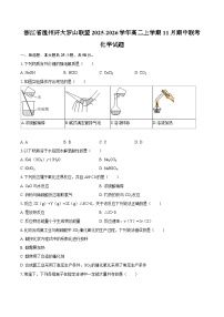 浙江省温州环大罗山联盟2025-2026学年高二上学期11月期中联考化学试题（含答案）