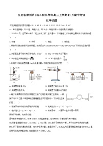 江苏省徐州市2025-2026学年高三上学期11月期中考试 化学试题（含答案）