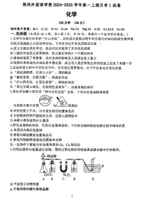 河南省郑州市外国语学校2024-2025学年高一上学期月考1化学试题