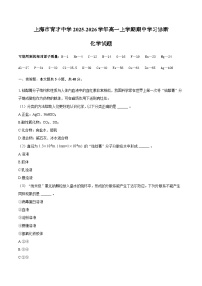 上海市育才中学2025-2026学年高一上学期期中学习诊断化学试题（含答案）