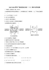 2025-2026学年广东省茂名市高一（上）期中化学试卷-自定义类型