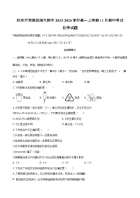 浙江省杭州市西湖区浙大附中2025-2026学年高一上学期11月期中考试化学试题(含答案)