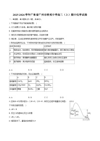 2025-2026学年广东省广州市培英中学高二（上）期中化学试卷（有答案和解析）