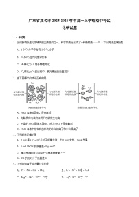 广东省茂名市2025-2026学年高一上学期期中考试-化学试题（含答案）