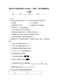 2025-2026学年湖北省华大新高考联盟高三上学期11月教学质量测评化学试题（无答案）