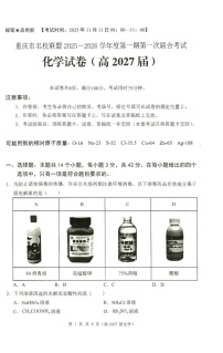重庆市名校联盟2025-2026学年高二上学期11月期中考试化学试卷