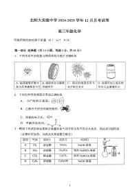 北京市北京师范大学附属实验中学2025届高三上学期12月月考化学试题