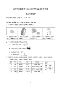 北京市北京师范大学附属实验中学2025届高三上学期12月月考化学试题