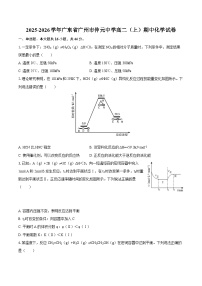 2025-2026学年广东省广州市仲元中学高二（上）期中化学试卷-自定义类型