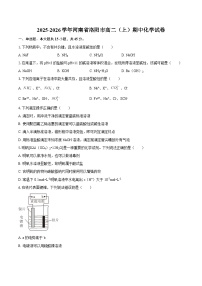 2025-2026学年河南省洛阳市高二（上）期中化学试卷-自定义类型