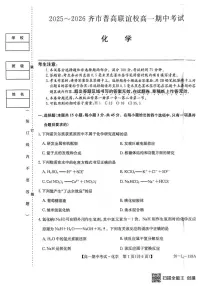 黑龙江省齐齐哈尔市普高联谊校2025-2026学年高一上学期11月期中考试 化学 PDF版含解析