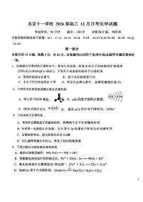 2025北京十一学校高三上11月月考化学（教师版）试卷