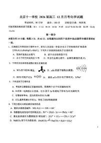 2025北京十一学校高三上11月月考化学(教师版)试卷