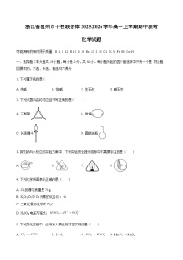 浙江省温州十校联合体2025-2026学年高一上学期11月期中化学试卷（含答案）