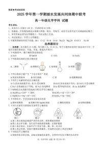 浙江省丽水发展共同体2025-2026学年高一上学期11月期中化学试卷（含答案）
