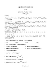 湖北省武汉圆创联盟2026届高三上学期11月联考化学试题（Word版附解析）