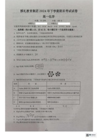 湖南省长沙市雅礼教育集团2024-2025学年高一上学期期末考试化学试题