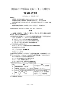 重庆市育才中学校2025-2026学年高三上学期12月月考化学试卷（含答案）