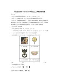 广东省深圳市2025-2026学年高三上学期期中联考化学试卷（学生版）