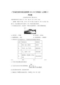 广东省东莞市东莞五校联考2024-2025学年高一上学期12月化学试卷（学生版）