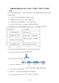 2025-2026学年安徽省鼎尖名校高三上学期11月联考化学试卷（含答案）