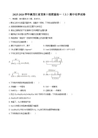 2025-2026学年黑龙江省龙东十校联盟高一(上)期中化学试卷-自定义类型