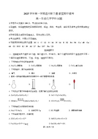 浙江省温州新力量联盟2025-2026学年高一上学期11月期中联考化学试卷(Word版附解析)