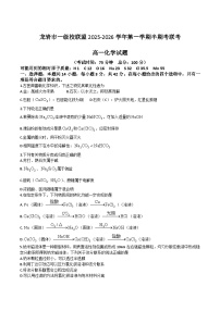 福建省龙岩市一级校盟2025-2026学年高一上学期期中联考化学试卷（Word版附答案）