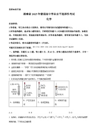 2025年高考湖南卷化学高考真题（原卷版＋解析版）