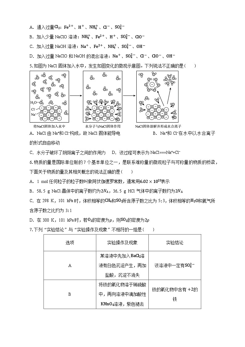 安徽省定远育才学校2025-2026学年高一(上)12月月考模拟化学试题第2页