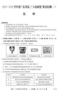 广东省“八校联盟”2026届高三上学期质量检测（一）化学试卷（PDF图片版）（含答案）