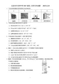 2025北京中关村中学高二上12月月考化学试卷