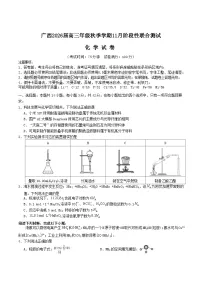 广西邕衡教育名校联盟2026届高三上学期11月联合调研测试化学试卷（Word版附解析）