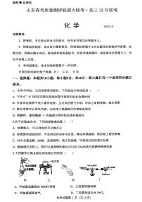 化学-山东高考质量测评联盟大联考·2026届高三上学期12月联考考试卷及答案