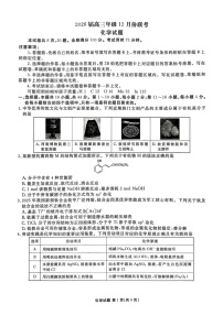 广东省衡水金卷2025-2026学年高三上学期12月联考化学试题（含答案）