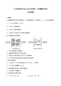 广东省茂名市2025-2026学年高一上学期期中考试化学试题（Word版附答案）