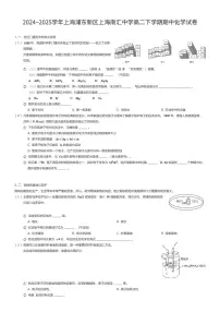 2024~2025学年上海浦东新区上海南汇中学高二下学期期中化学试卷（有答案解析）