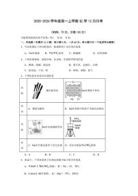 河南省漯河市临颍县综合高中2025-2026学年高一上学期12月月考化学试题