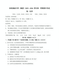 广东省深圳市深圳市高级中学2025-2026学年高一上学期期中化学试卷