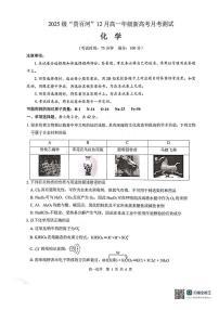 广西贵港市贵百河联考2025-2026学年高一上学期12月月考化学试题含答案含答案解析