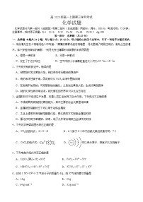 四川省泸州市泸县第五中学2025-2026学年高一上学期12月月考化学试题（含答案）含答案解析