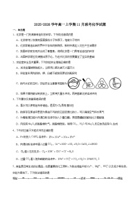 山东省德州市五校2025-2026学年高一上学期11月期中联考试题 化学(含答案）