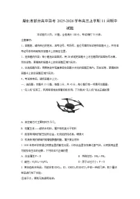 湖北省部分高中联考2025-2026学年高三上学期11月期中化学试卷（学生版）