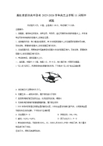 湖北省部分高中联考2025-2026学年高三上学期11月期中化学试卷(学生版)